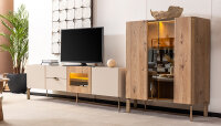 Artemis Plus Tv Ünitesi - 2